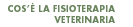 Cos'� la Fisio tearapia