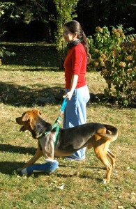 DSC_0129 DSC_0129