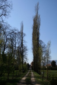 Parco-(1) Parco-(1)