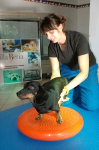 ginnastica-attiva-passiva2