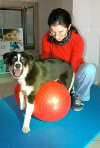 ginnastica-attiva-passiva5